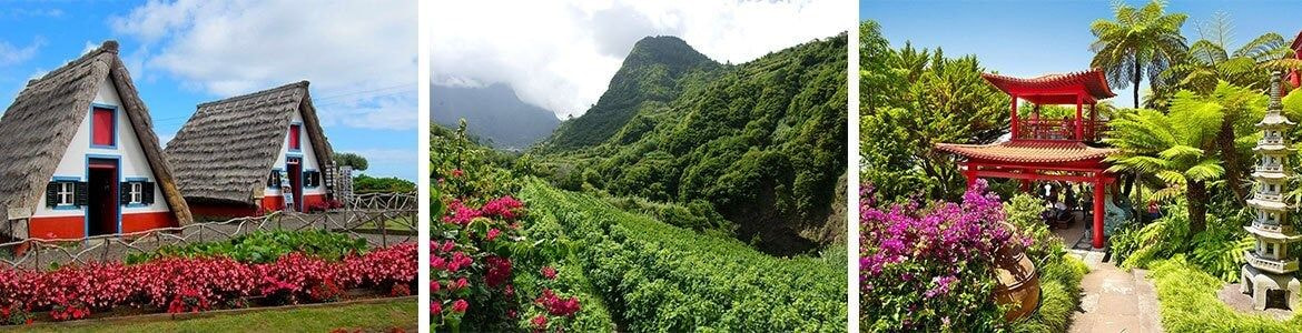 Tropical landscapes and gardens Madeira car hire 