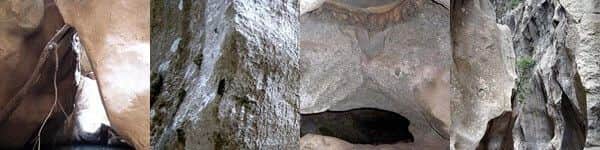 torrent pareis