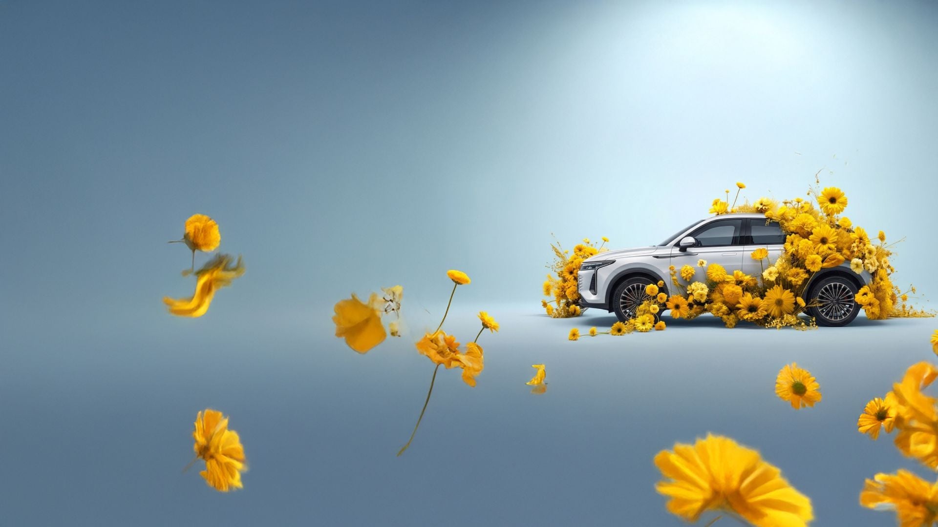 booking form background image