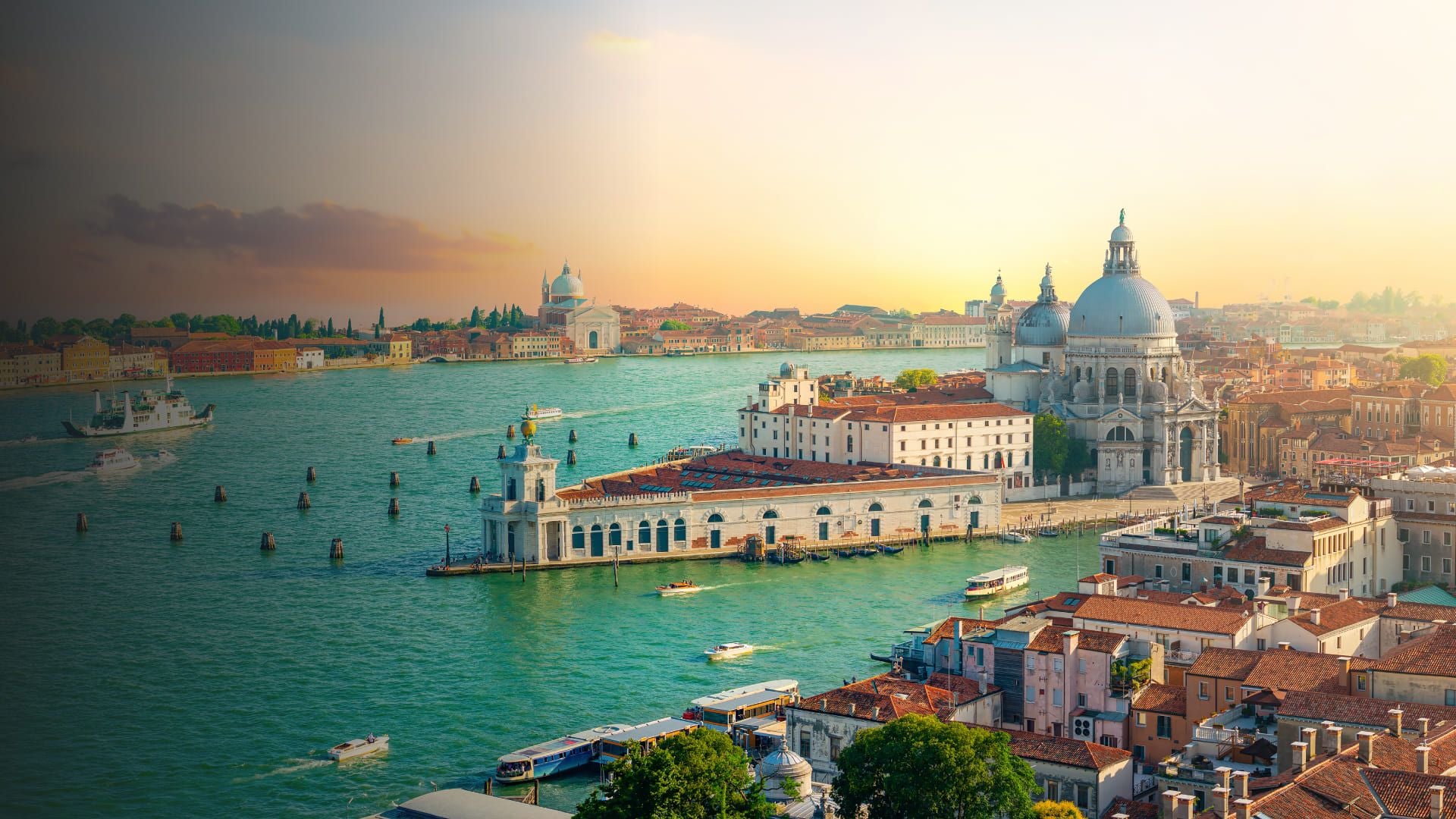 booking form background image