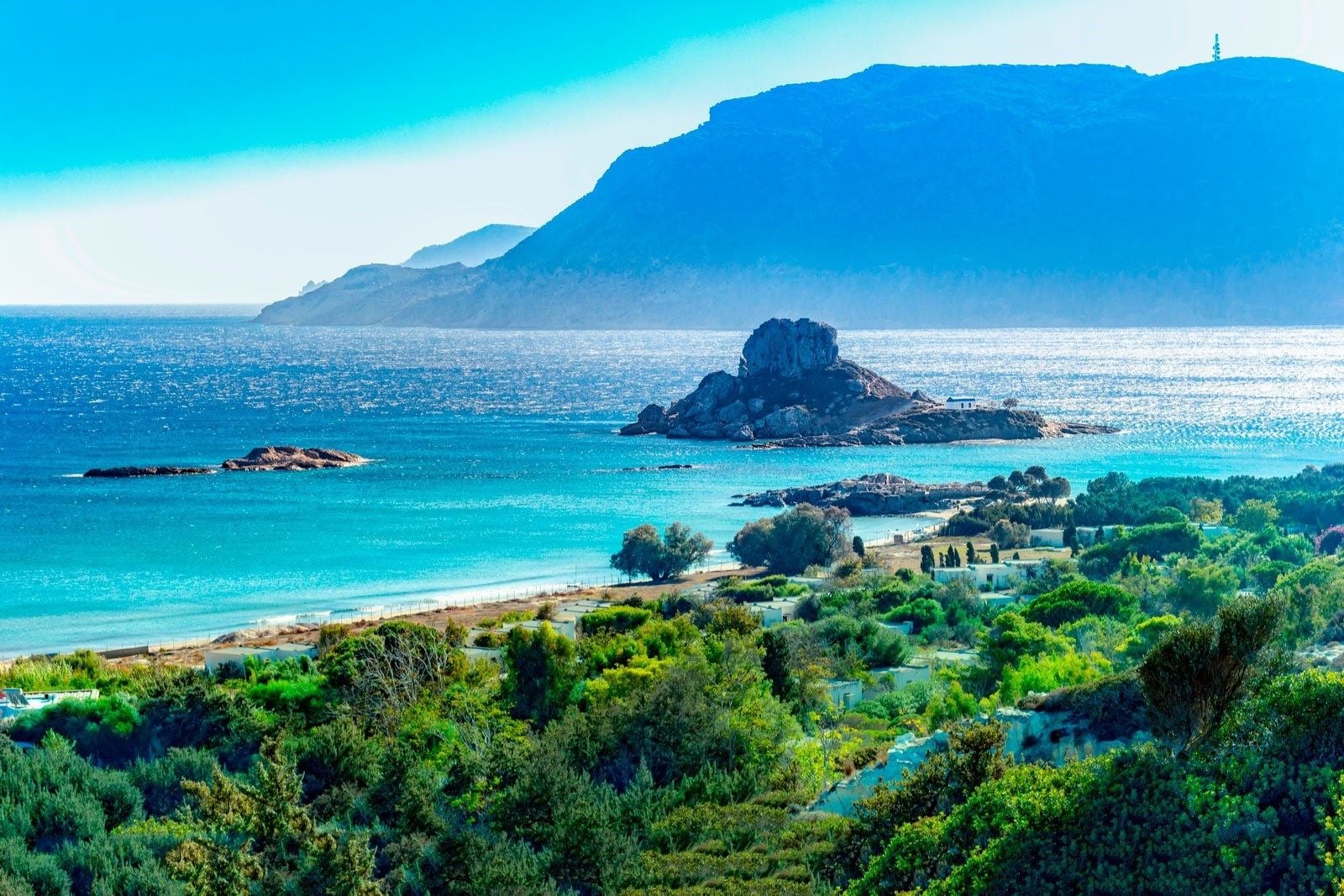 booking form background image