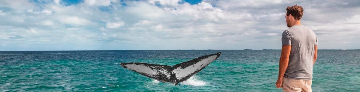 car getaway azores centauro