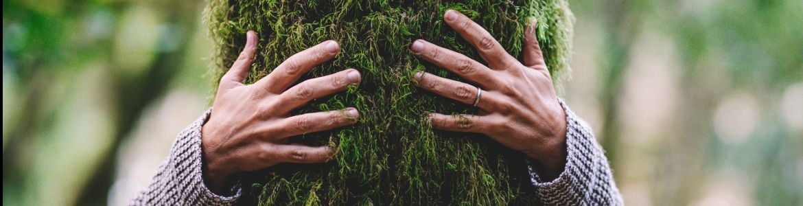 uomi abbraccia albero al bosco