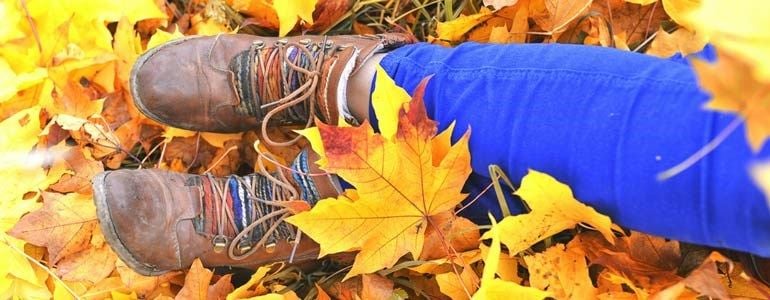 Senderismo hayedos otoño andalucía alquiler de coches Centauro Rent a Car