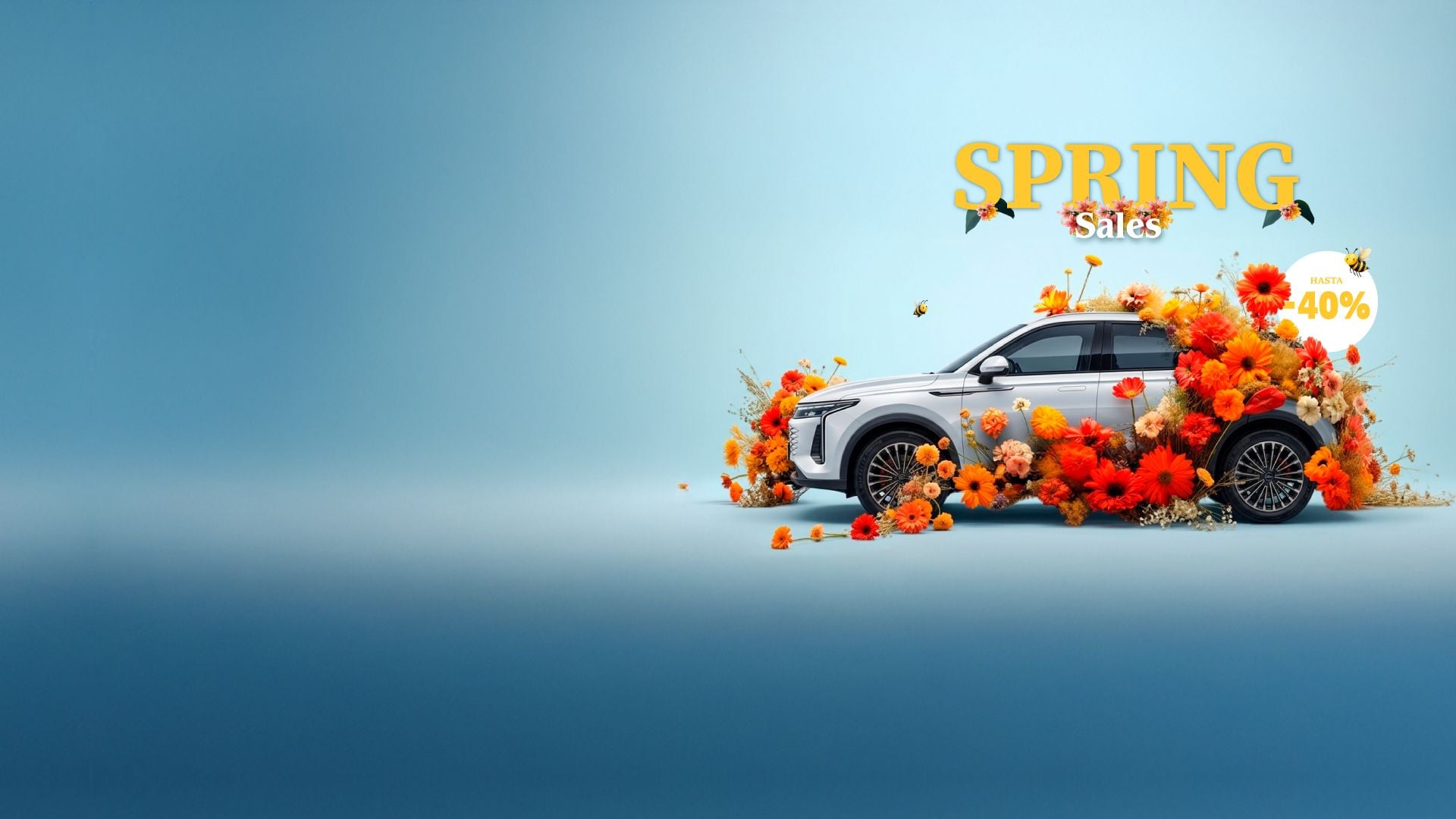 booking form background image