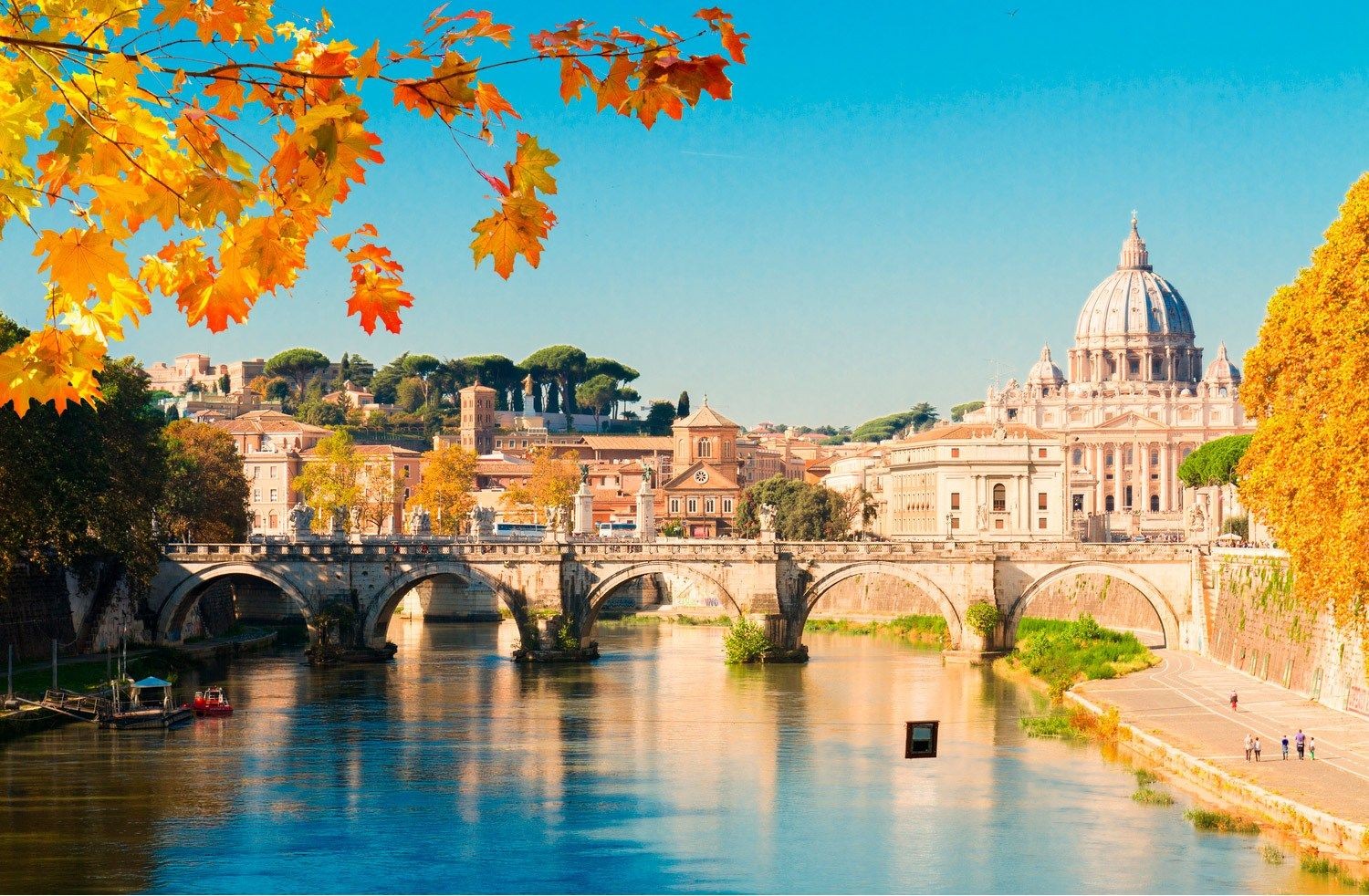 booking form background image