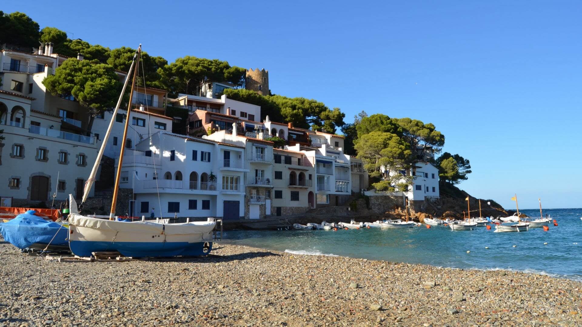 booking form background image