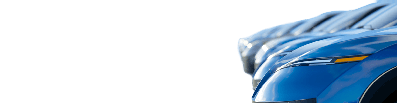 booking form background image