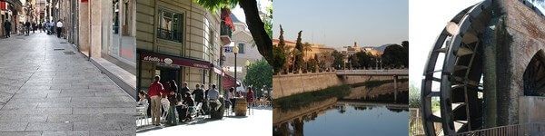 Murcia, Plaza de las Flores