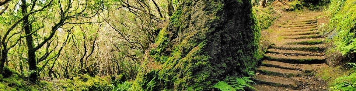 landsbyparken anaga santa cruz tenerife