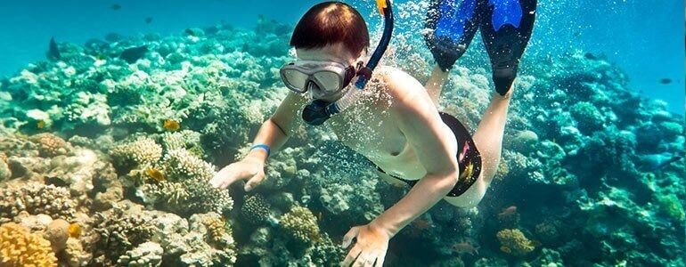 Practicar snorkeling en calas de Torrevieja